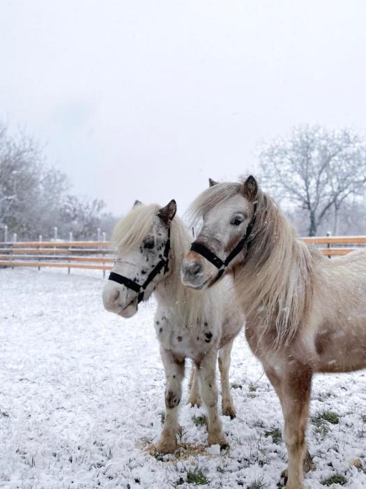 Seoski turizam Jagodić