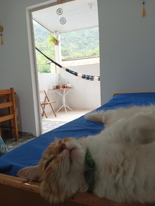 Aconxeguinho espaço secundário privativo c banheiro compartilhado