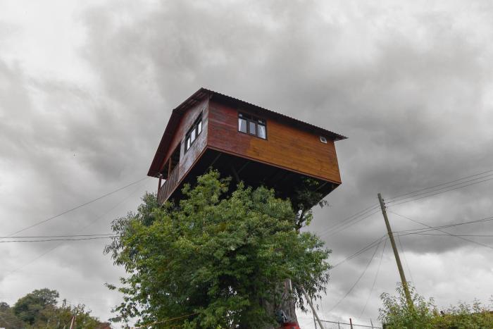 Trini Treehouse By GEstores