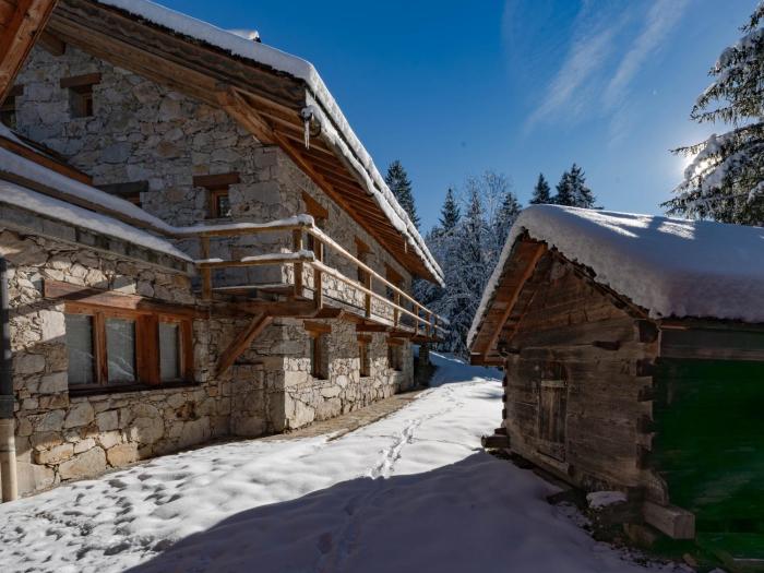 Chalet de luxe aux Allues - FR-1-613-142
