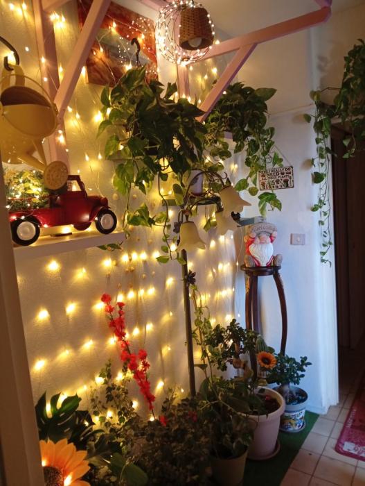 Policlinico La casa sotto il pergolato