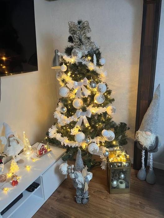 Apartament na poddaszu