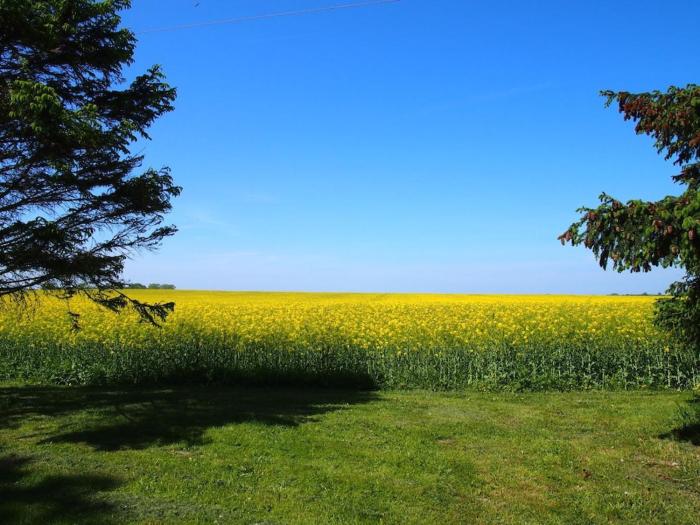 Holiday apartment with 2 bedrooms