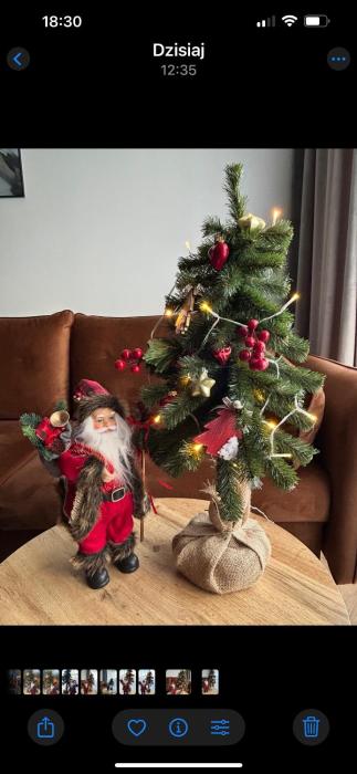 Apartament Grafitowy