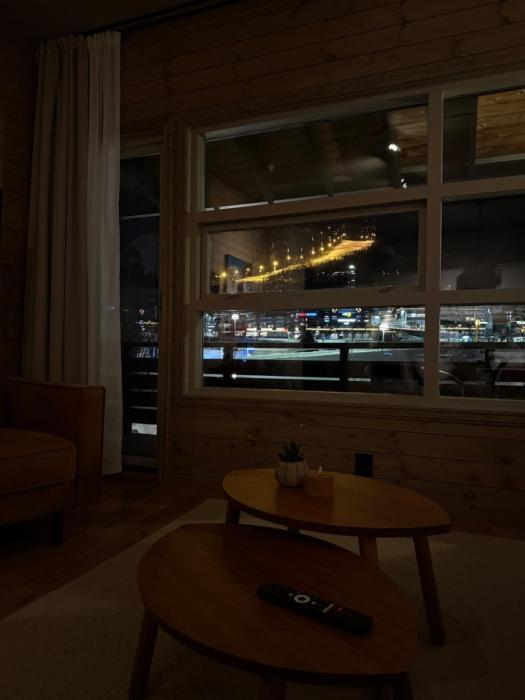 Geiloholtet central city apartment