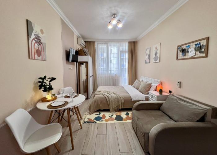 Cozy studio with a balcony and sea view