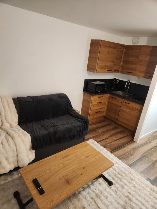 Appartement 4 personnes ski aux pieds parking couvert