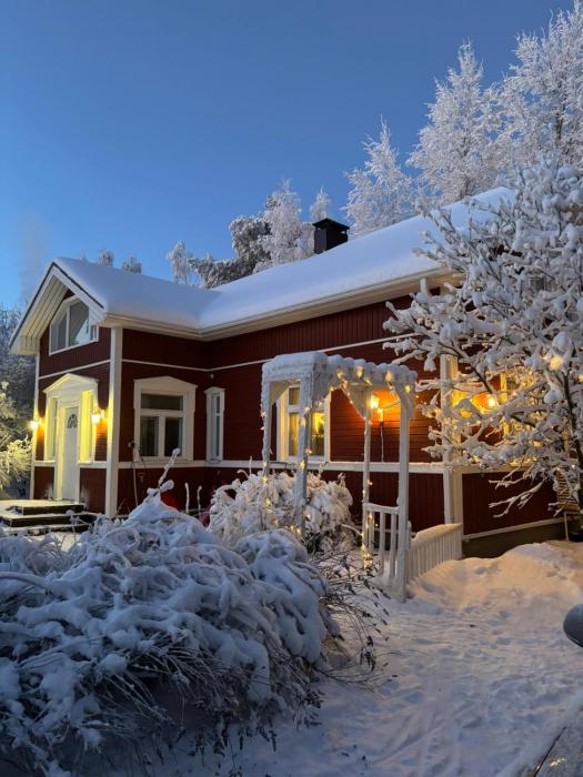Spacious and cozy family-friendly wooden house