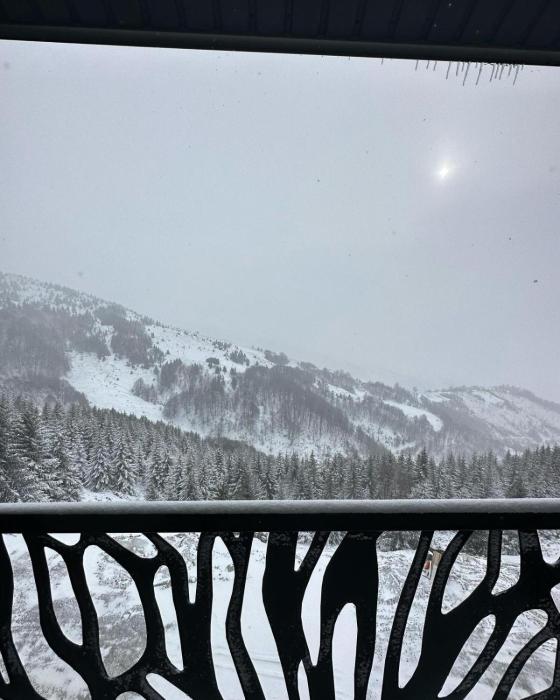 Vila Golija Sky View Kopaonik