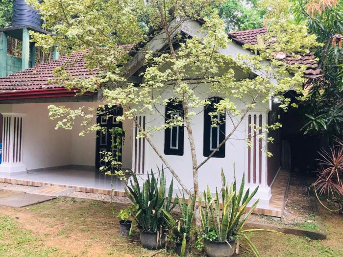 Madiha Dolamulla Gedara