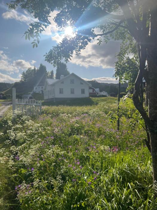 Fjällägenhet i Huså byskola