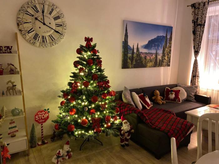 Cozy Vibes Sibiu Center