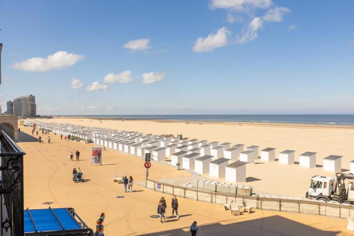 Dolphin Paradise 157