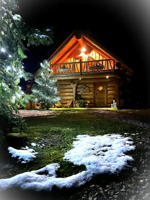 Forest Glade Cottage - Koča na jasi