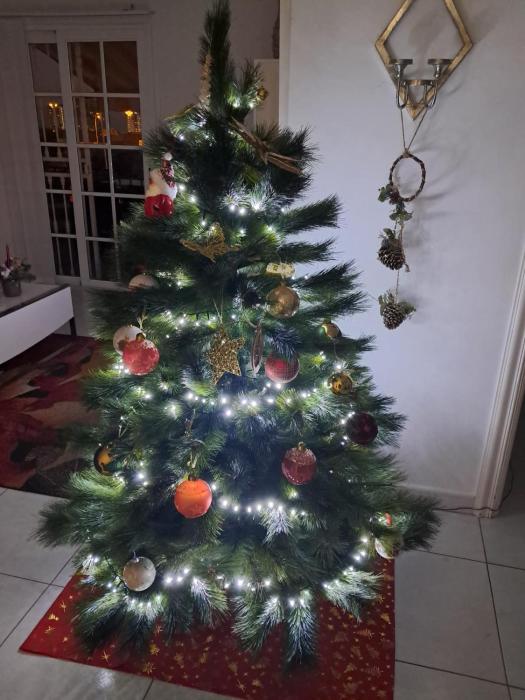 Penthouse Sabina mit Jacuzzi