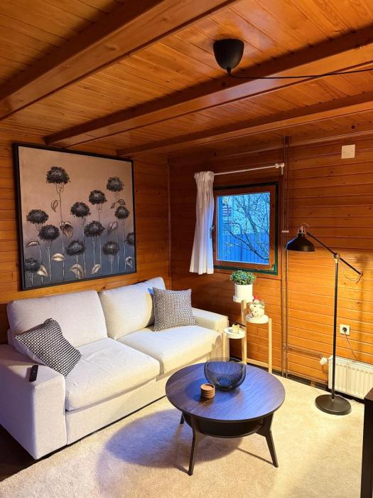 Wooden Cabin in Ljubljana