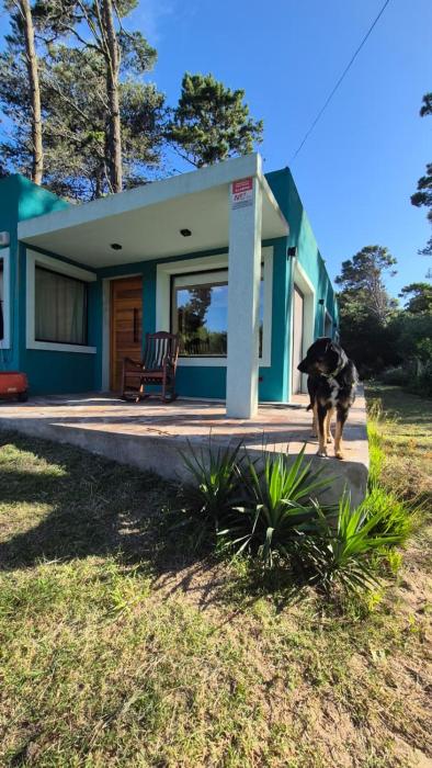 Casa para 5- Apta mascotas - Luz y tranquilidad