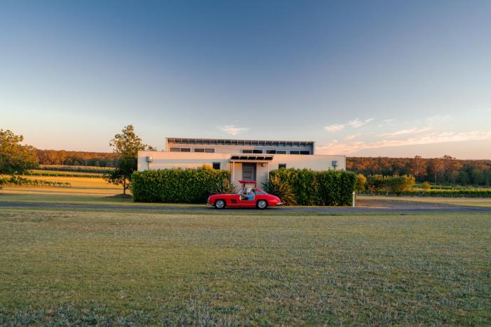 Adina Vineyard