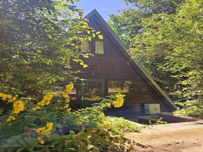 Contemporary Ardennes Chalet in Durbuy