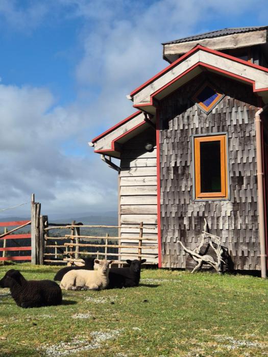 Chepu - Lodge Chimango Caracara