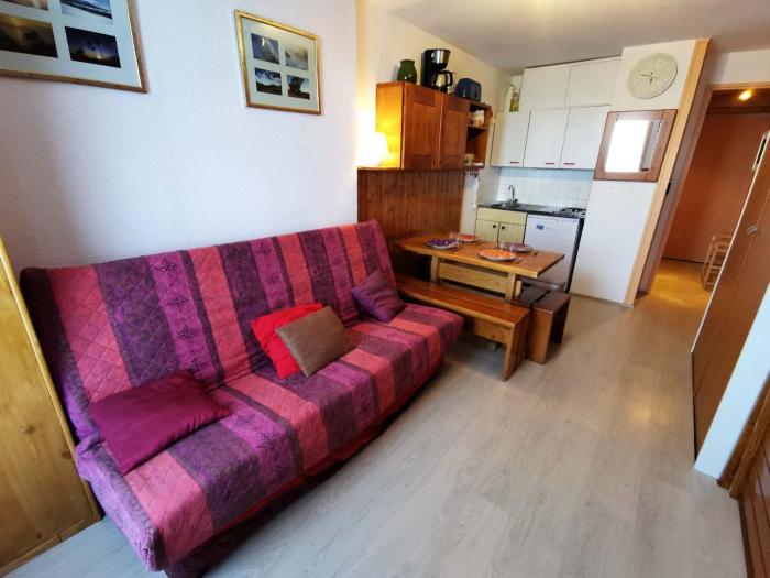 Studio proche pistes avec animaux admis - FR-1-771-21