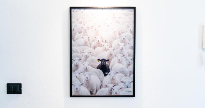 The Black Sheep, Airco - No Lift