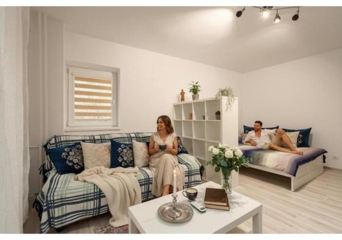 Bright Studio Close to Alba Iulia Square with WiFi