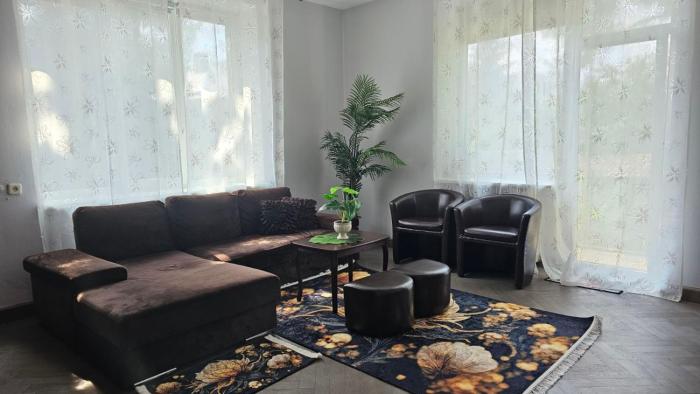 Vieno miegamojo apartamentai Kauno centre