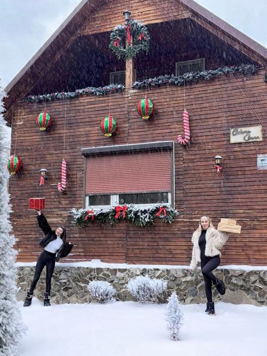 Cabana Oana 5-bedrooms chalet