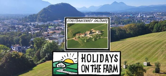 Stadtbauernhof Salzburg - Ferienwohnung - Gut Unterleithen - farm & the city