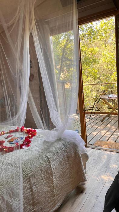 Cabane & Dîner Gourmet Inclus