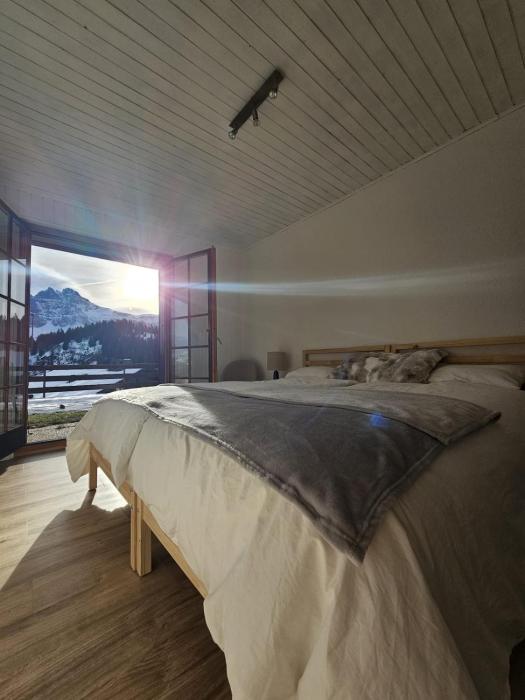 Ski in Ski out Portes du Soleil Champoussin