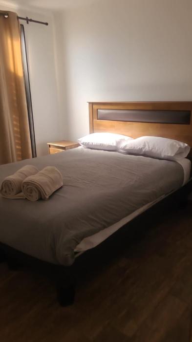 El oasis guanaqueros