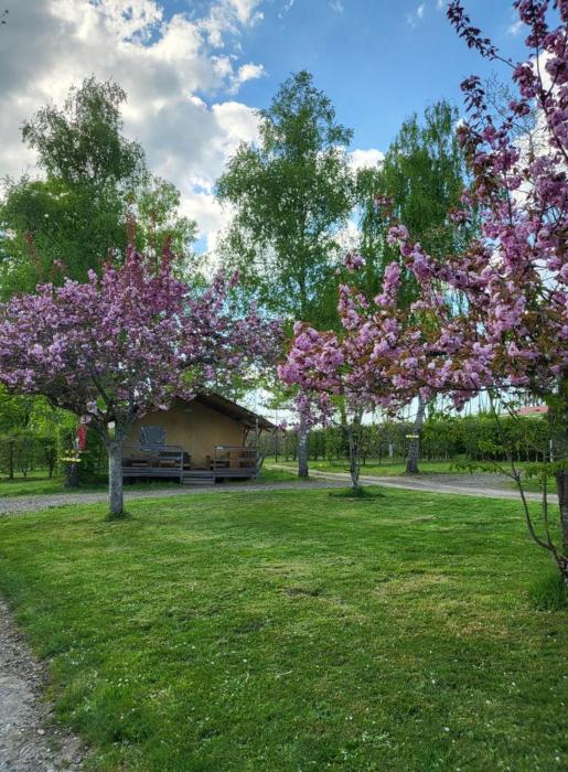 Camping, hébergement insolite proche de Vulcania
