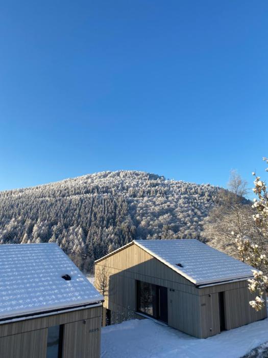 Sauerland Lodge - Haus Juliana