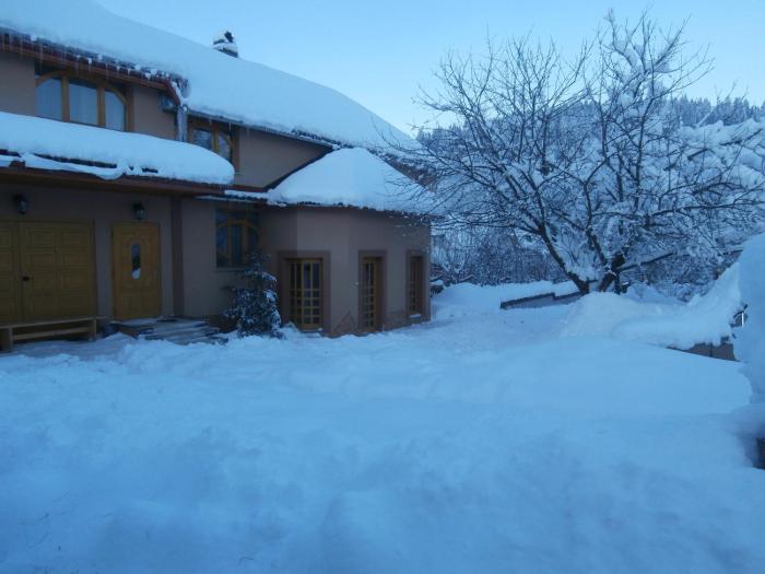 Karpatskiy Domik Izki