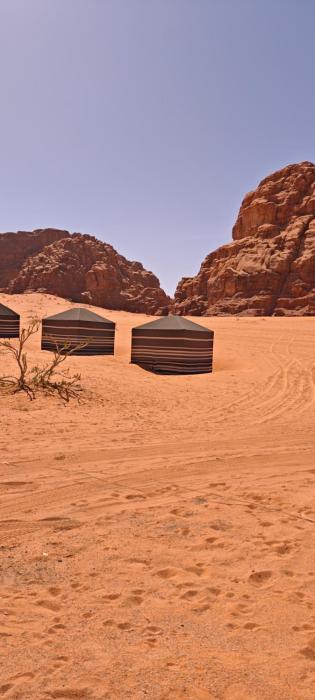 Bedouin Horizons