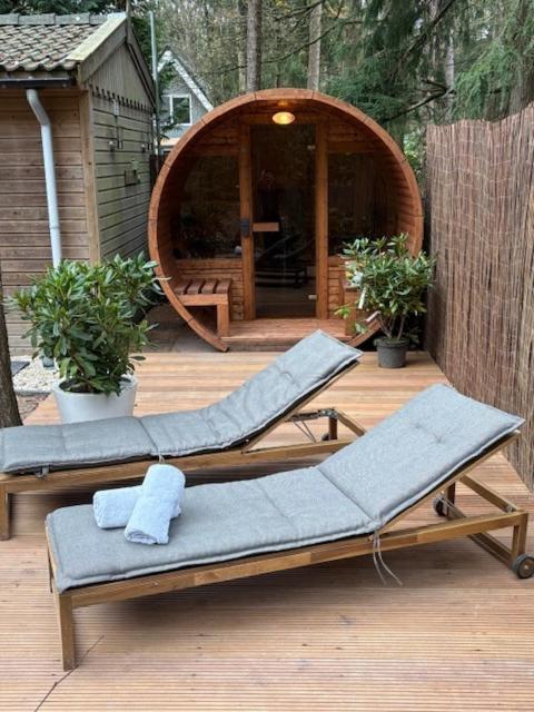 Forest house with sauna