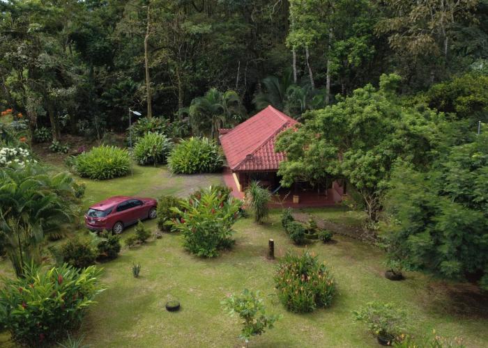 Cabin with private tropical forest
