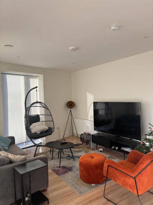 Modern-Spacious Dublin Apartment