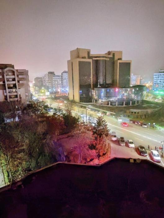 Panoramic Central View