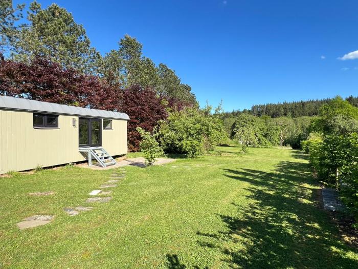 Pine Tree Tiny cottage