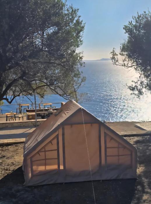 Cimarte The Path Lukove