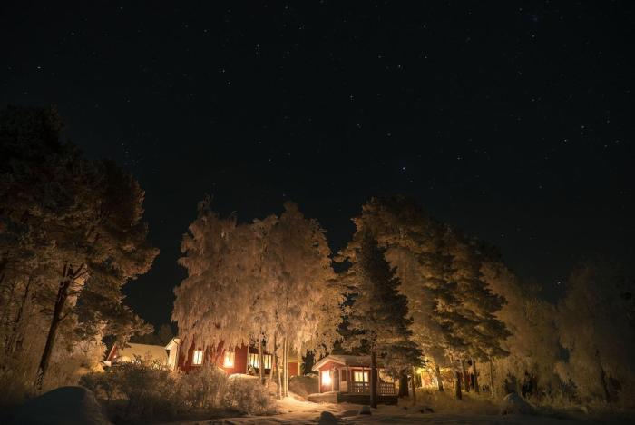 Newly-renovated super cozy house with sauna!