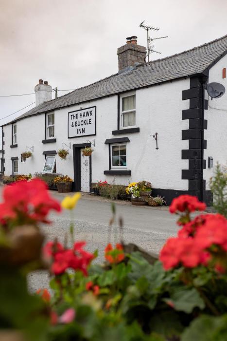 The Hawk & Buckle Inn