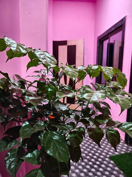 RIYANSH GUEST HOUSE NEAR - Ram mandir