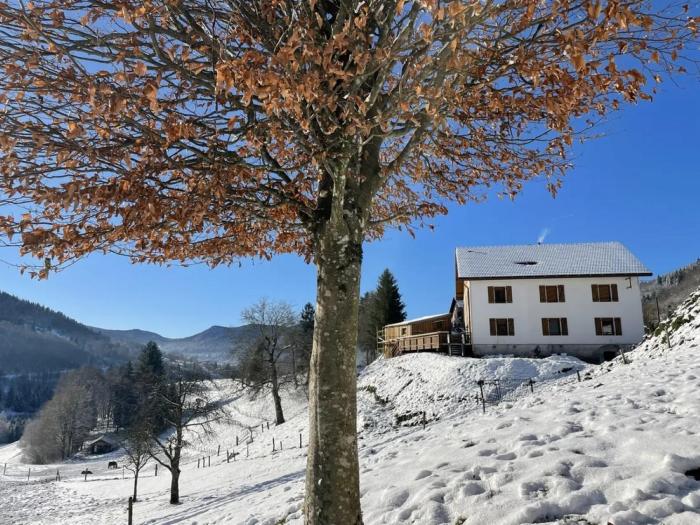 La Clé des Champs à Bussang - Gîte tout confort dans les Hautes Vosges