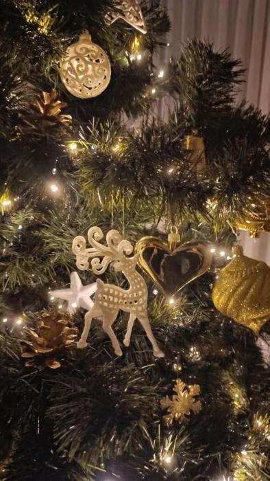 OLIMPIA Ośrodek Przygotowań Sportowych