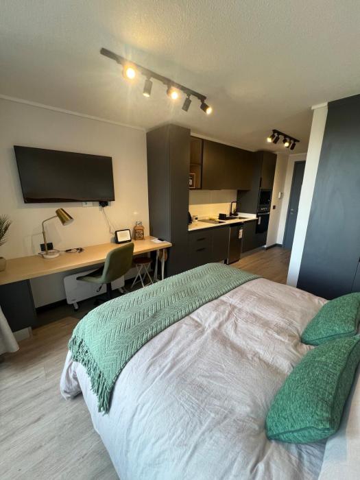 Suite Compacta y Elegante