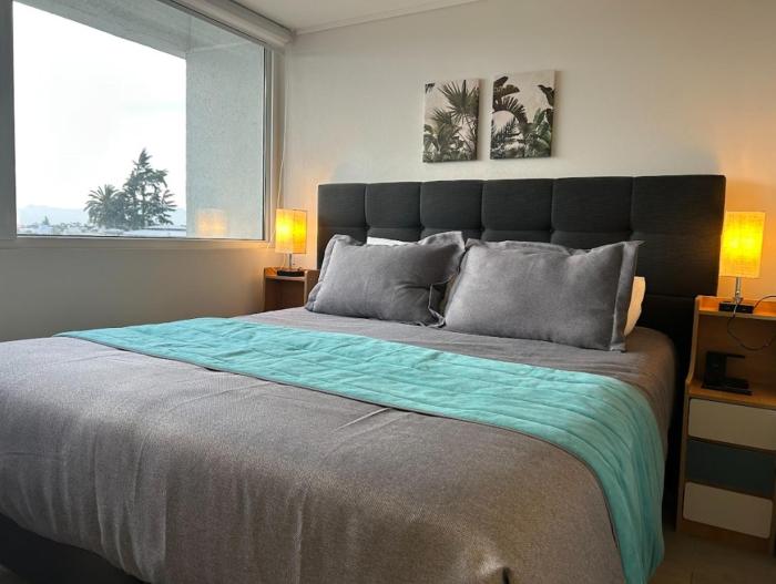 Santiago Centro I Alameda I La Moneda